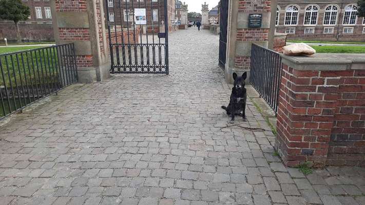 Foto Challenge Thema "Brücke"-Beitrag-Bild