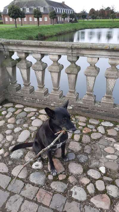 Foto Challenge Thema "Brücke"-Beitrag-Bild