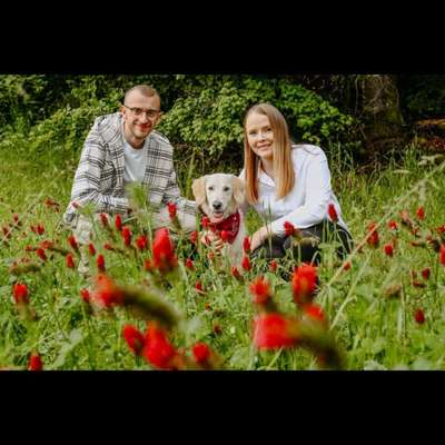 Hundetreffen-Spielen und Toben 🐕-Bild