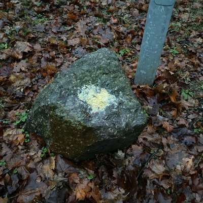 Giftköder-Giftköder ?-Bild