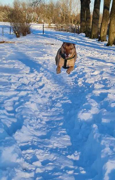 Euer schönster Moment des Jahres auf einem Bild!-Beitrag-Bild