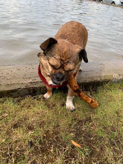 Fotochallenge 37- Sommerfeeling-Beitrag-Bild