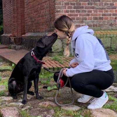 Hundetreffen-Social Walk mit Wirbelwind