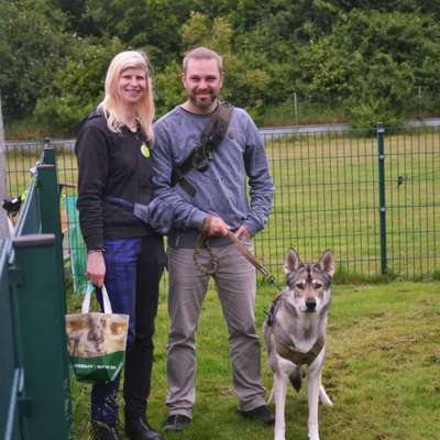 Wie kamst du zu deinem Hund?-Beitrag-Bild