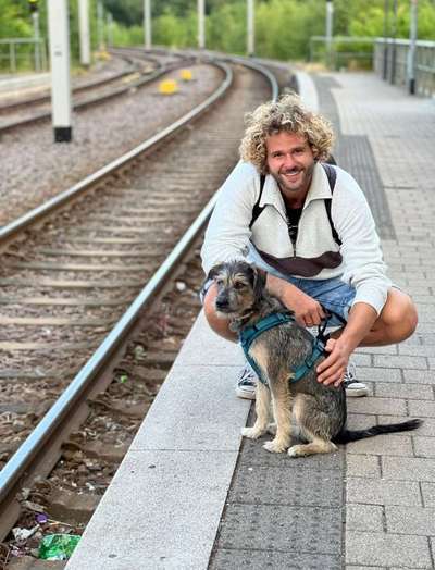 Hundetreffen-Gassirunde in Saarbrücken-Bild