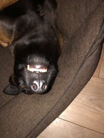 Fotochallenge Nr.122-Beitrag-Bild