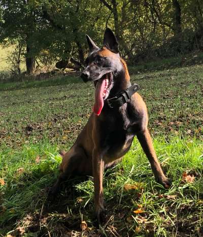 Zeigt eure Portraits-Beitrag-Bild