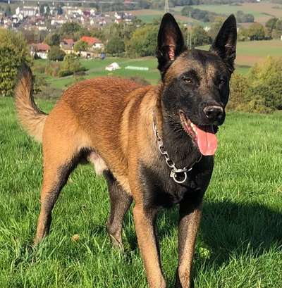 Doppelgänger gesucht !-Beitrag-Bild