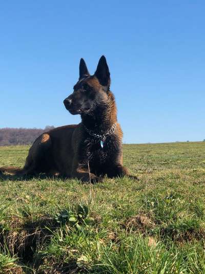 22. Collagen Challenge- Lebensfreude-Beitrag-Bild