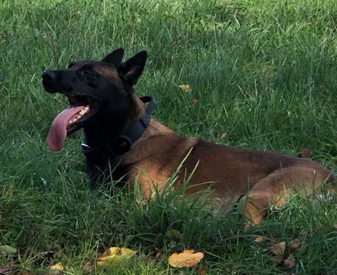 18. Collagen Challenge - Zunge raus!-Beitrag-Bild