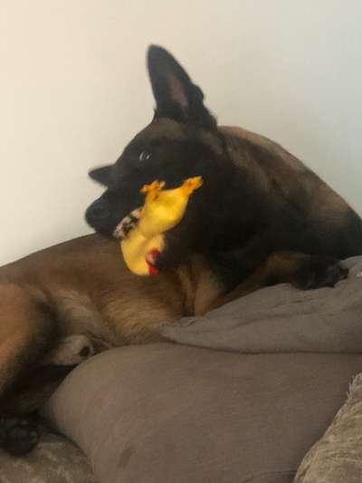 22. Collagen Challenge- Lebensfreude-Beitrag-Bild