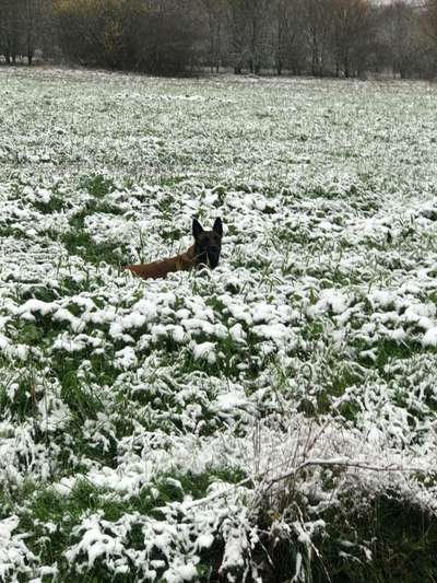 Der erste Schnee, zeigt uns eure tollen Schneemomente-Beitrag-Bild