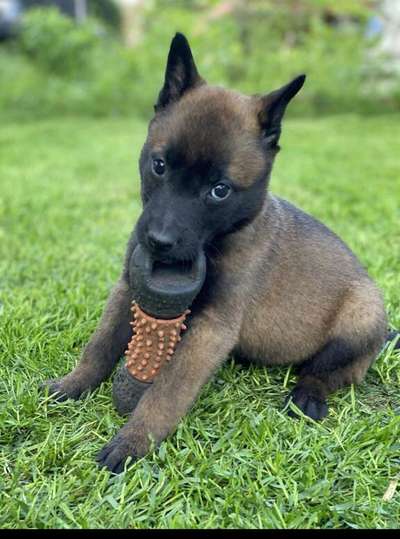 23. Collagen-Challenge: Portraits-Beitrag-Bild