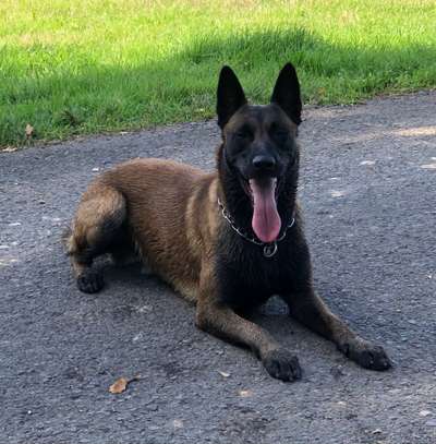 23. Collagen-Challenge: Portraits-Beitrag-Bild