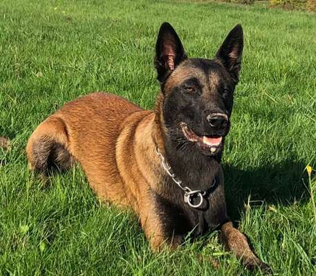 Fotochallenge 108: Starkes Team-Beitrag-Bild