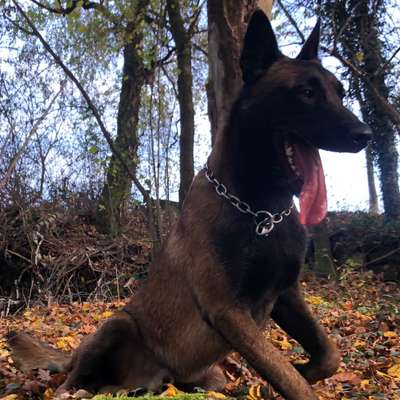 18. Collagen Challenge - Zunge raus!-Beitrag-Bild