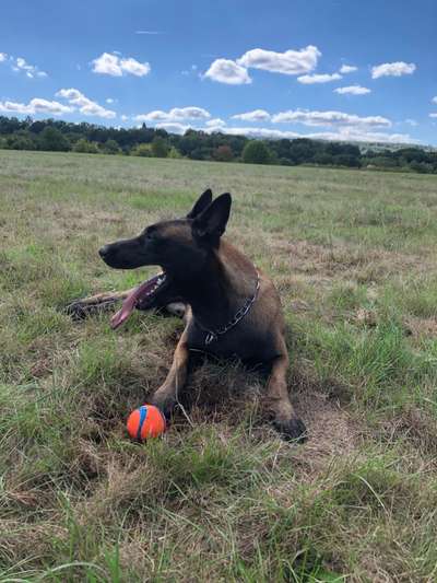 118. Fotochallange-Beitrag-Bild