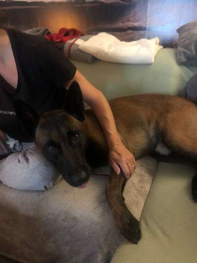 22. Collagen Challenge- Lebensfreude-Beitrag-Bild