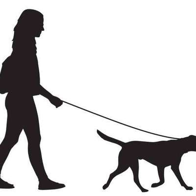 Hundetreffen-Wandern 20-30km-Bild