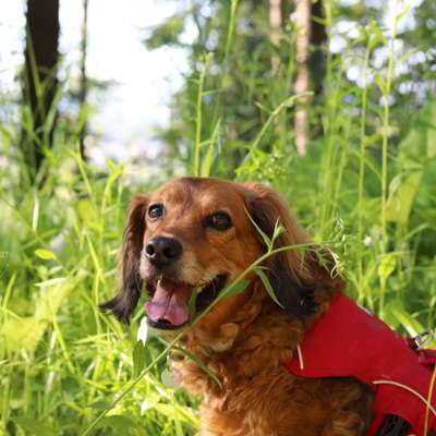 Fotochallange Nr. 57     PORTRÄT.   Beendet!!!!!!!!-Beitrag-Bild