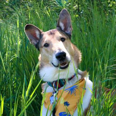 Fotochallange Nr. 57     PORTRÄT.   Beendet!!!!!!!!-Beitrag-Bild