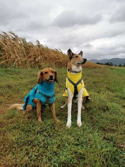 Zeigt euer coolstes winteroutfit-Beitrag-Bild