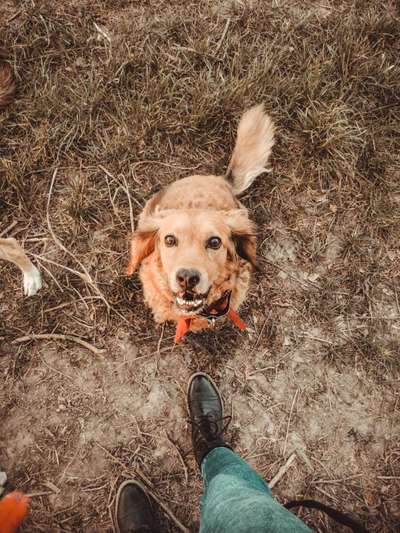 Fotochallenge Nr. 56 - geliebte Senioren-Beitrag-Bild