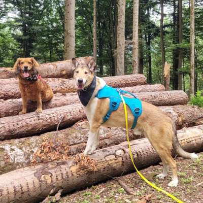 Theos Fotochallenge Nr. 3-Beitrag-Bild