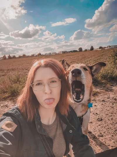 Die lustigsten Selfies mit Deinem Hund !-Beitrag-Bild