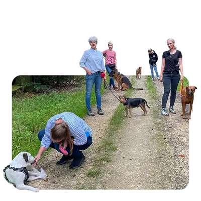 Giftköder-Social Walks in der offenen Gruppe-Bild