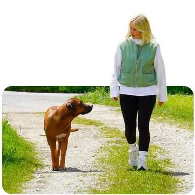 %{de_profession_title}-Individuelles Hundetraining-Bild