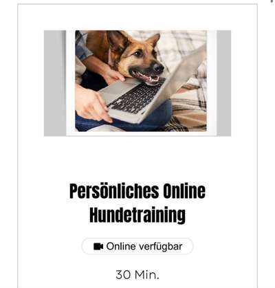 Giftköder-persönliches Online Hundetraining-Bild