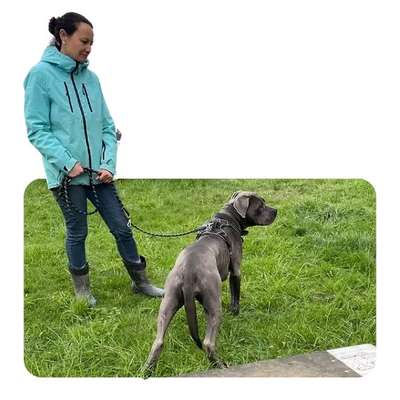 %{de_profession_title}-Hundeverhaltensberatung & -Therapie-Bild