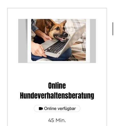 Giftköder-Online Hundeverhaltensberatung-Bild