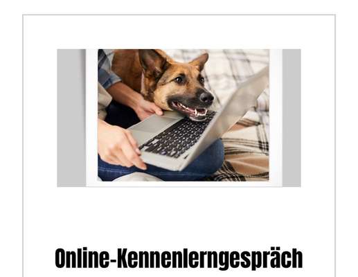 Giftköder-kostenfreies Online-Kennenlerngespräch-Bild