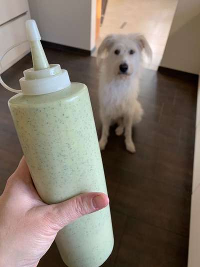 Heute gibt es.....der "ich mach die Leckerlis-Selber-Thread"-Beitrag-Bild