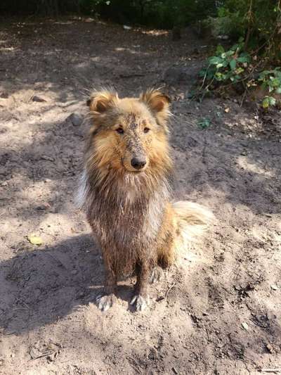 Fotosammlung: ,,Der natürliche Hund" Unbearbeitet, ungestellt und in Natura-Beitrag-Bild