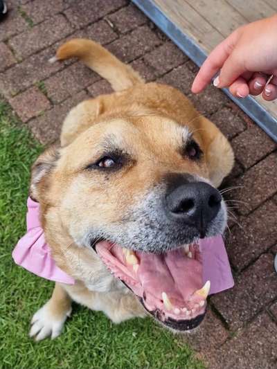 17. Farben Foto Challenge: Pastellfarben-Beitrag-Bild