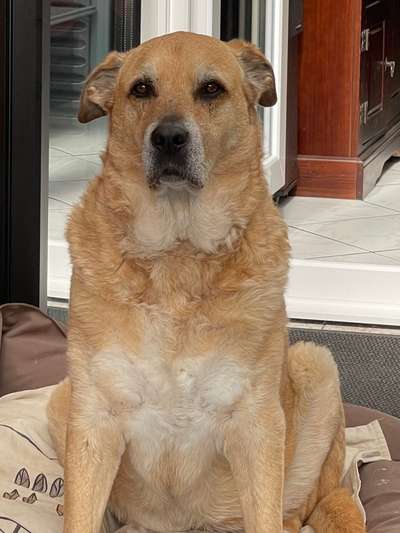 Freddys Kummerkasten-Beitrag-Bild