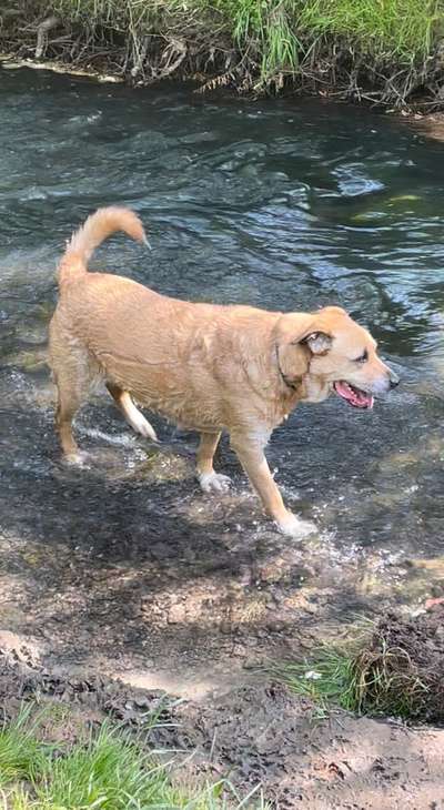 Doppelgänger gesucht !-Beitrag-Bild