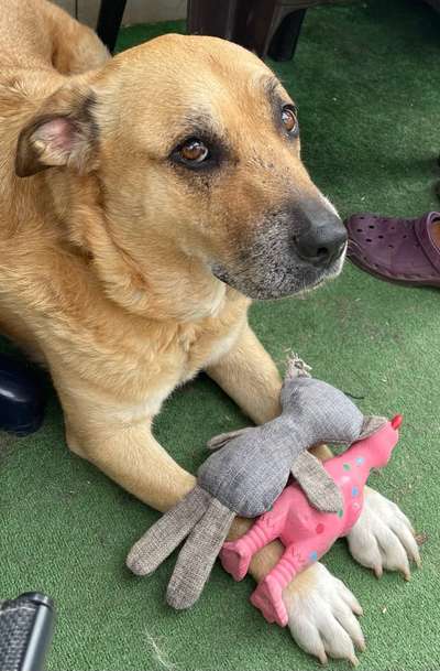 Fotochallenge No.97-Beitrag-Bild