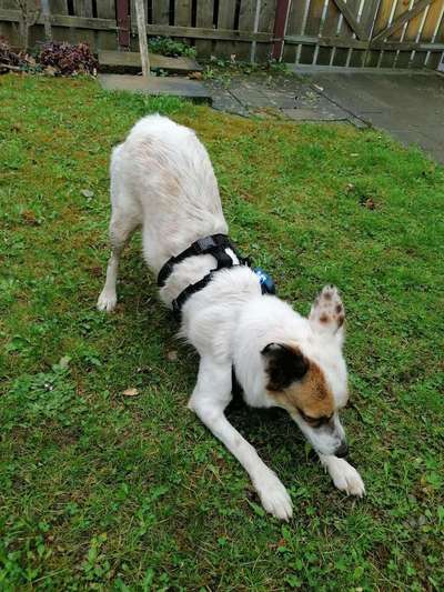 Trick Challenge Nr. 8-Beitrag-Bild