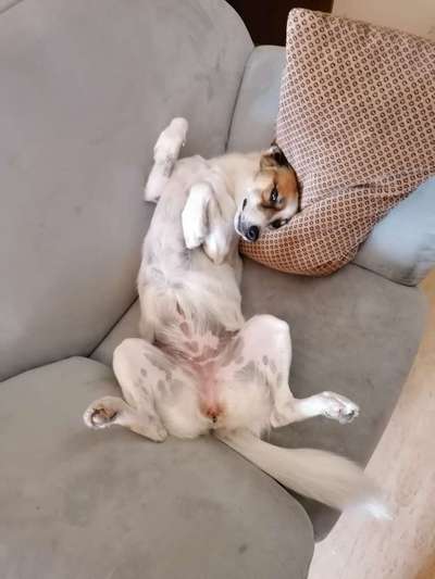 Ab-gehangen-Beitrag-Bild