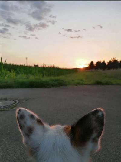 Blick fürs Detail!-Beitrag-Bild