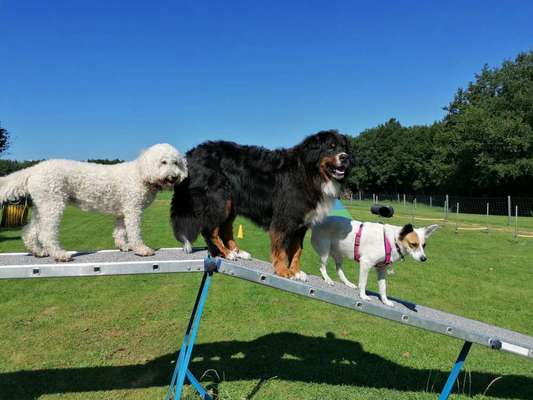 Handy-Foto-Challange Nr. 8-Beitrag-Bild