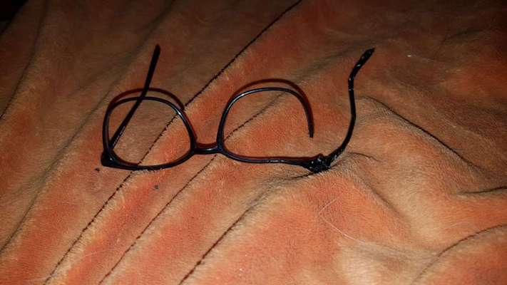 Zeig mir, dass du mit einem hund zusammenlebst....-Beitrag-Bild