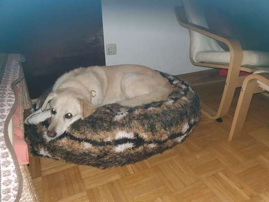 Erfahrung mit Wolkenbett-Beitrag-Bild