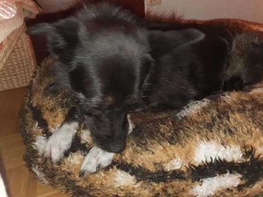 Erfahrung mit Wolkenbett-Beitrag-Bild