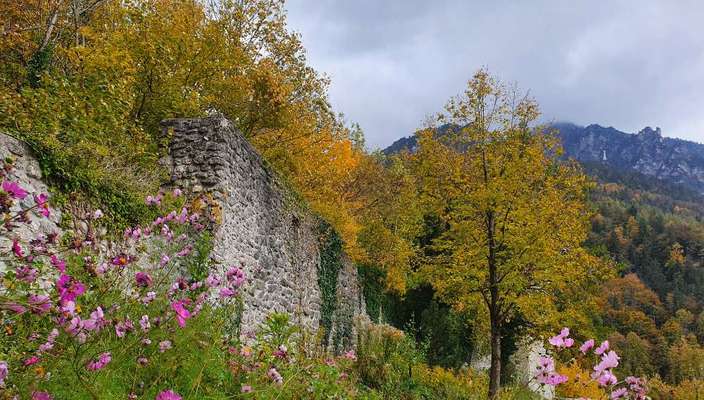 Die wunderschöne Welt mit Hund.-Beitrag-Bild