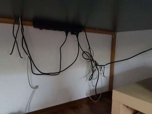 Zeig mir, dass du mit einem hund zusammenlebst....-Beitrag-Bild